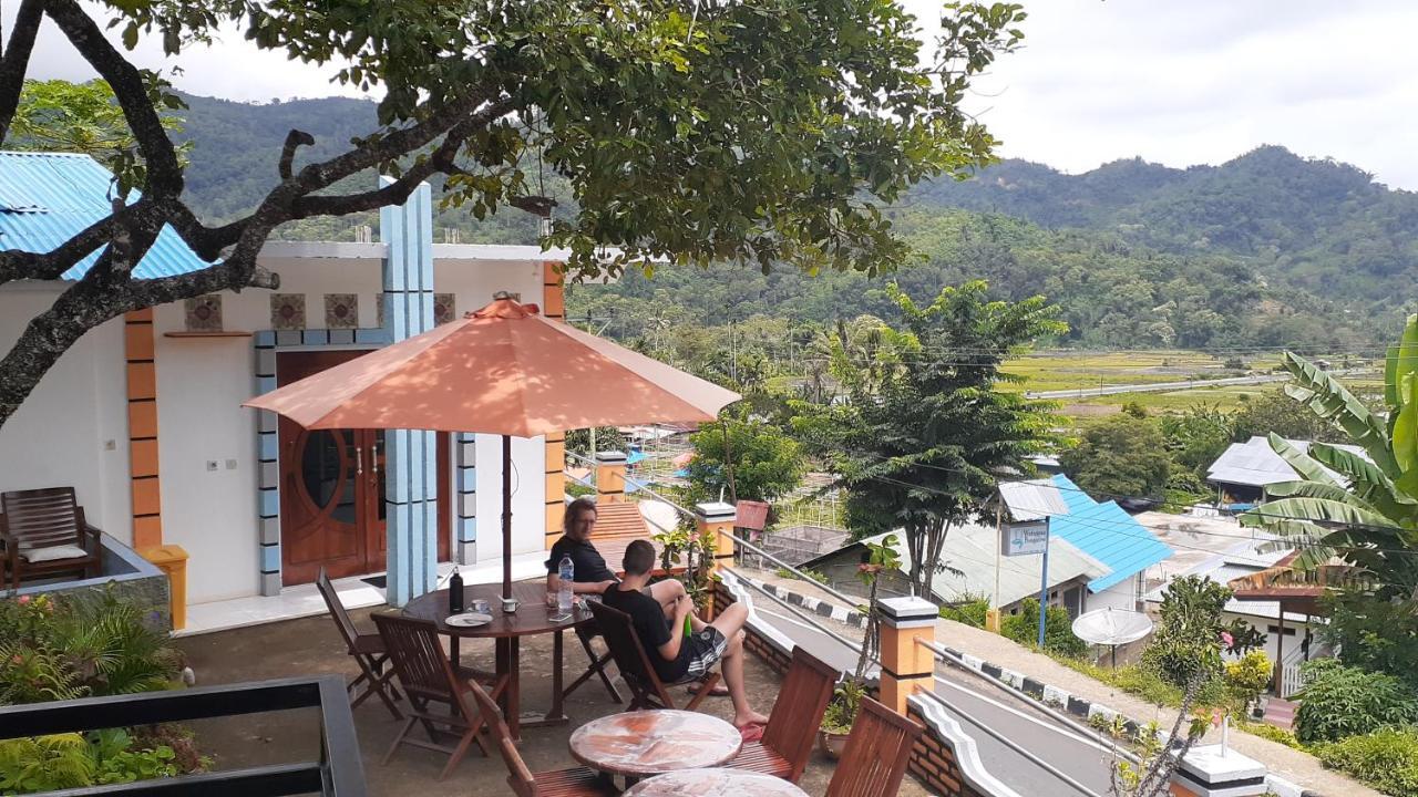 Bintang Bungalow Tour & Travel Kelimutu Dış mekan fotoğraf